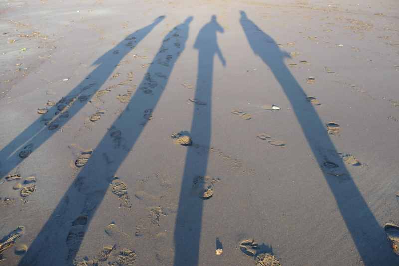 Nieuw-Zeeland 2011 - 1343